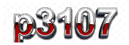 p3107 logo